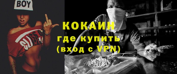 гашик Богданович