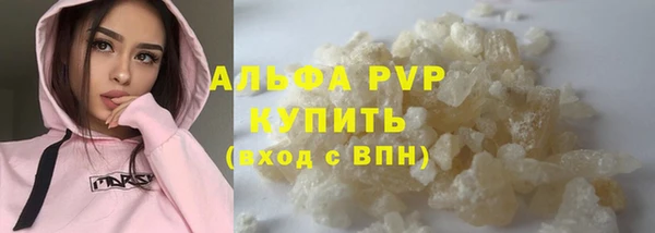 гашик Богданович