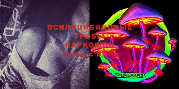 гашик Богданович