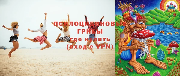 гашик Богданович